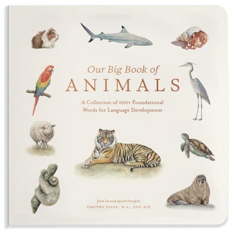 Our Big Book of Animals - ספר 100 מילים ראשונות של חיות